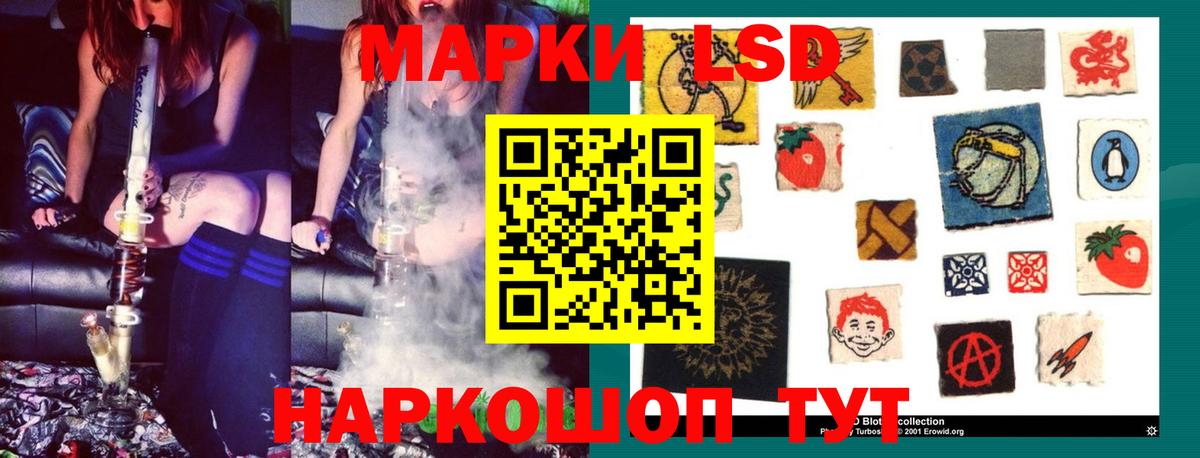 A PVP Находка