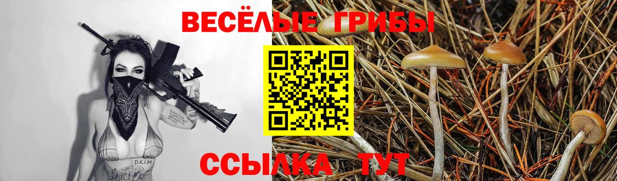 Галлюциногенные грибы Magic Shrooms Находка